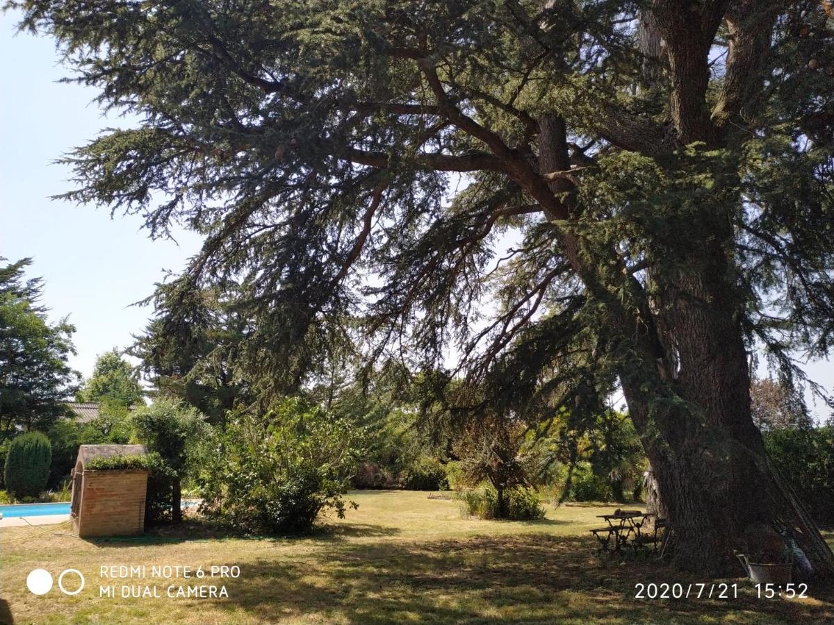 La maison de l'œnologue Poucharramet Extérieur photo